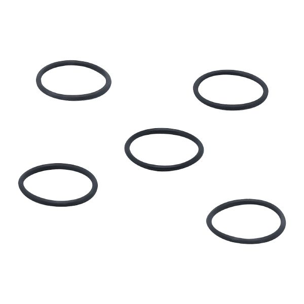 E30053 - O-Ring - ifm