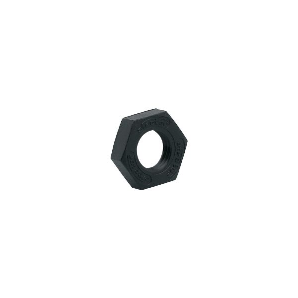 Hexagon nut E10020