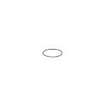 E30512 - O-Ring - ifm 