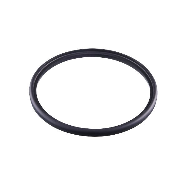 Gasket E40566