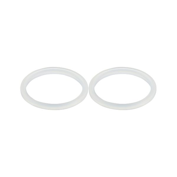 Gasket E40575