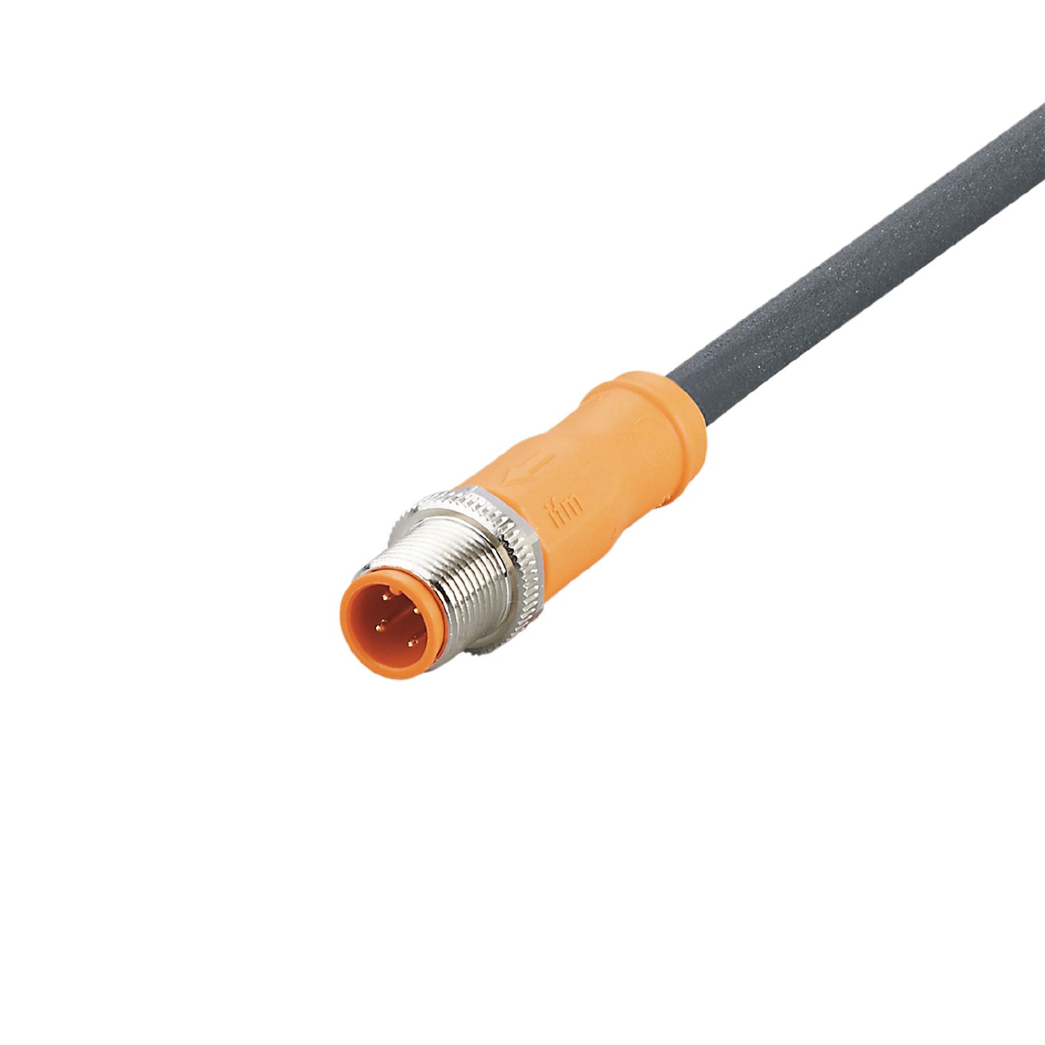 EVCB36