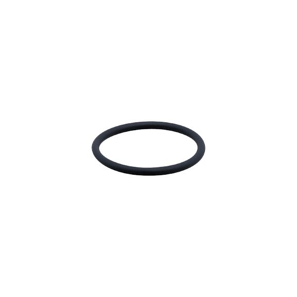 O-ring E30123