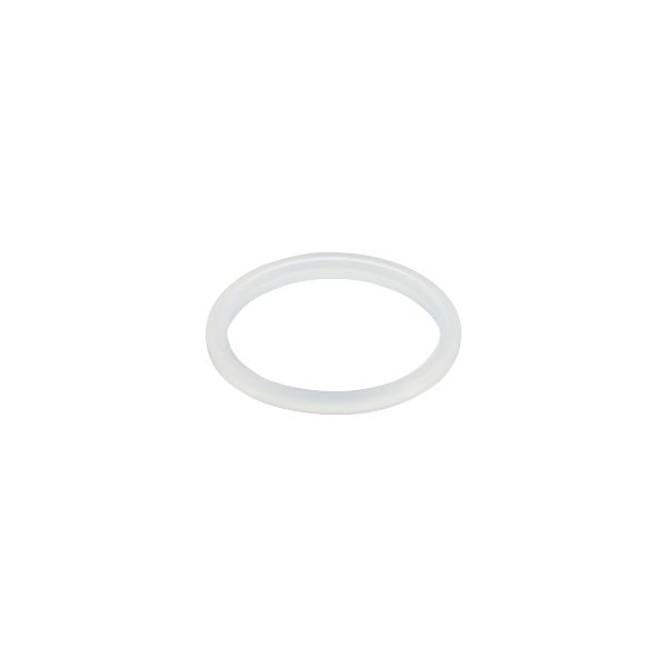 Gasket E40575