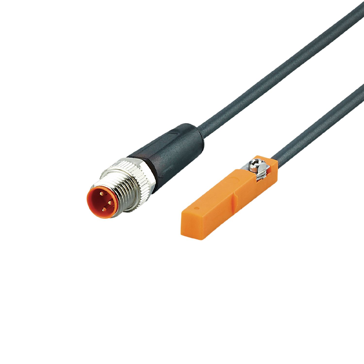 717nD8xJmmL._AC_UF350,