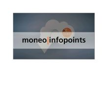 moneo infopoint用ライセンス QMI001